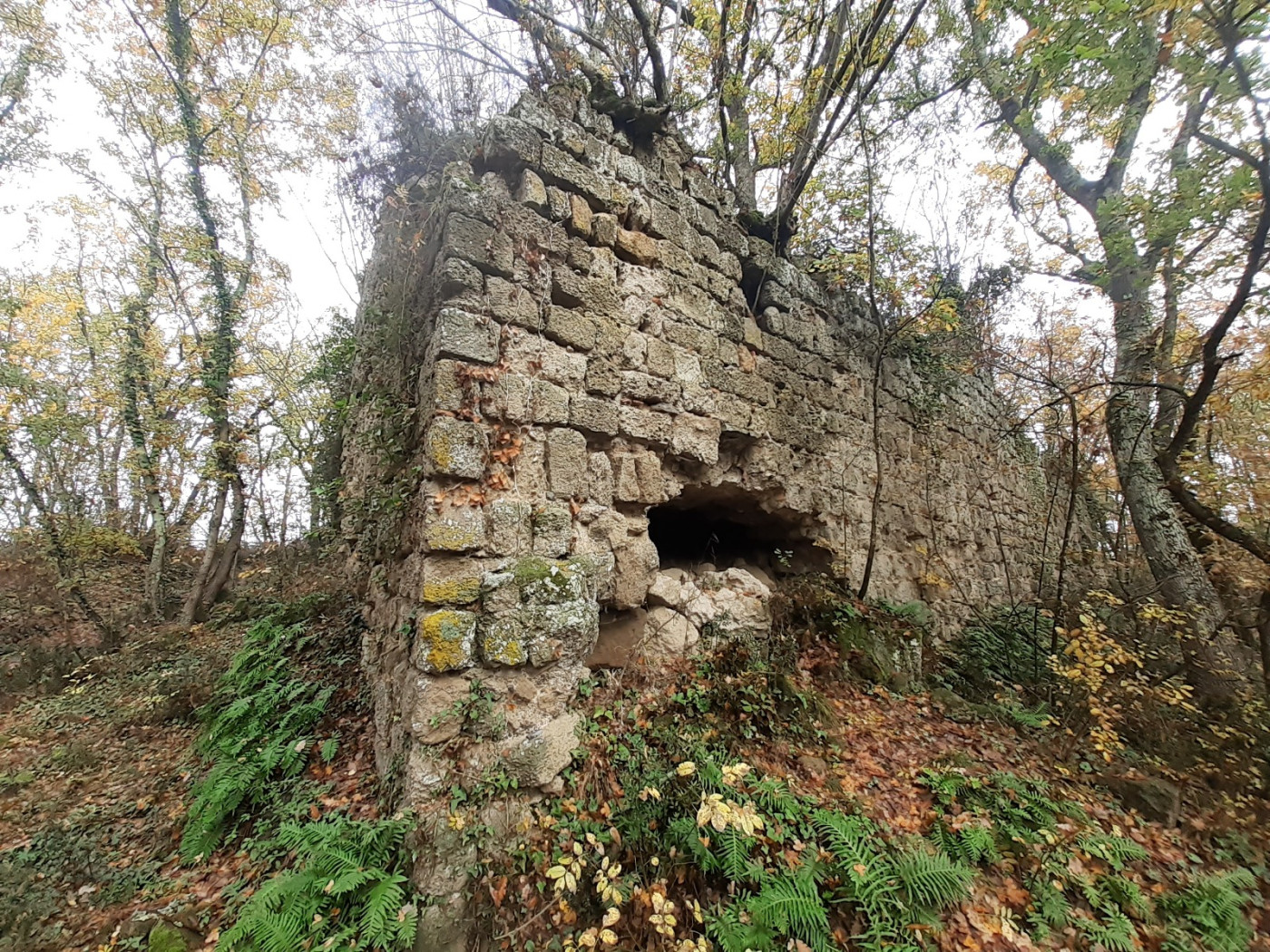 scavi castello di corviano